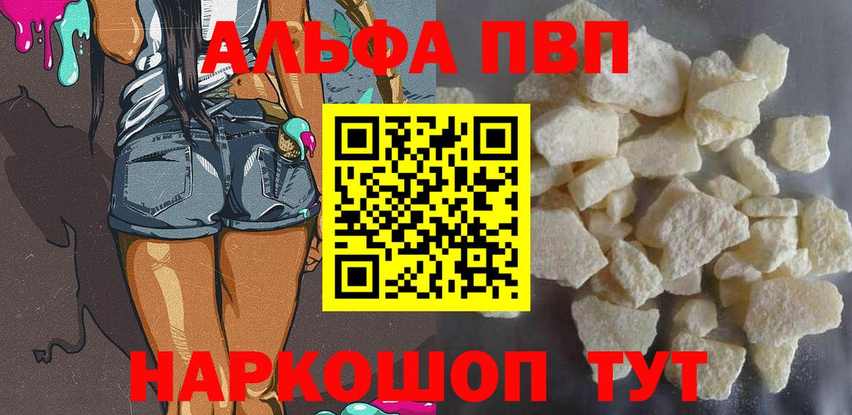 Альфа ПВП СК Новокузнецк