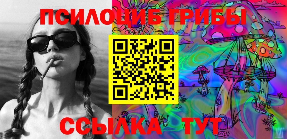Новокузнецк  Псилоцибиновые грибы Magic Shrooms  Вход с VPN  Псилоцибиновые грибы Psilocybe 