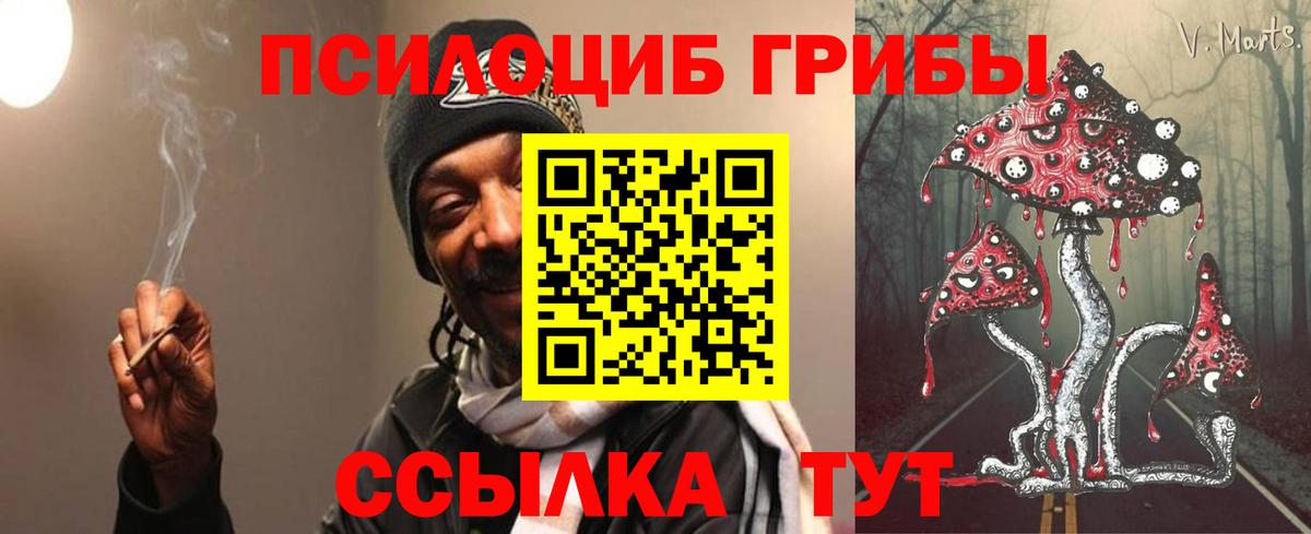 Галлюциногенные грибы Psilocybine cubensis Новокузнецк