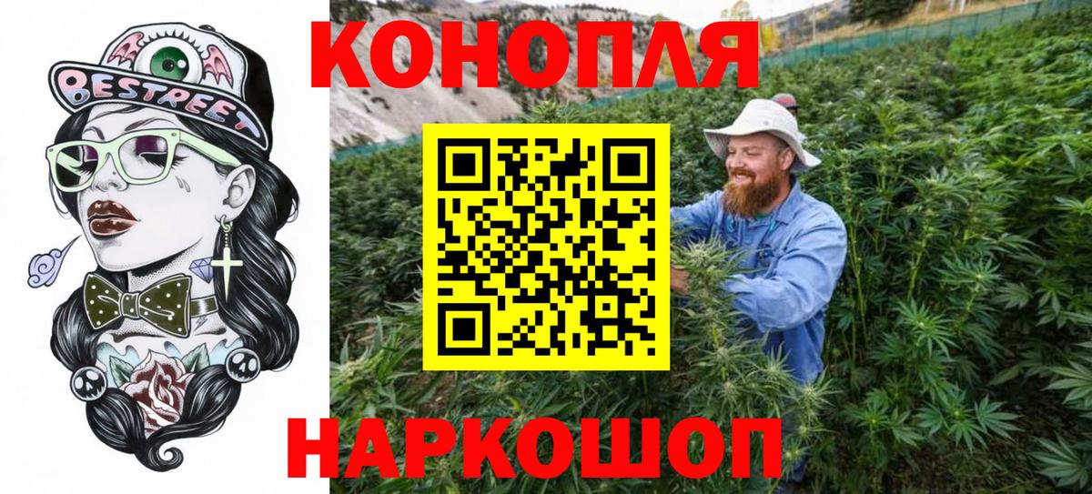Конопля ГИДРОПОН  Вход с VPN  Шишки марихуана планчик  Новокузнецк  Шишки марихуана THC 21% 